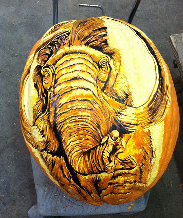 Mammoth carved on the face of a pumpkin 